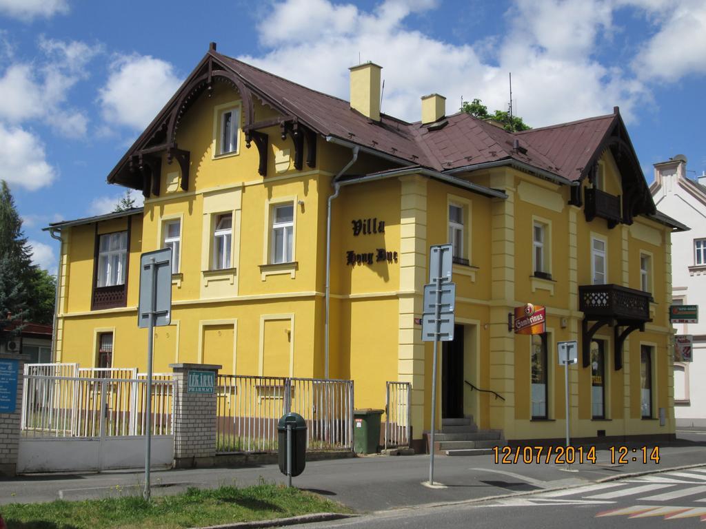 Pension Vidhous 1 Františkovy Lázně المظهر الخارجي الصورة