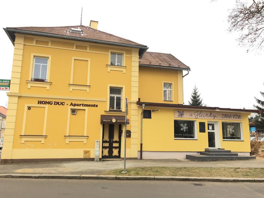 Pension Vidhous 1 Františkovy Lázně المظهر الخارجي الصورة